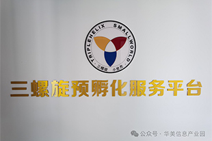 园区企业风采｜与“三螺旋”共舞，解锁企业与孵化器共赢新纪元！